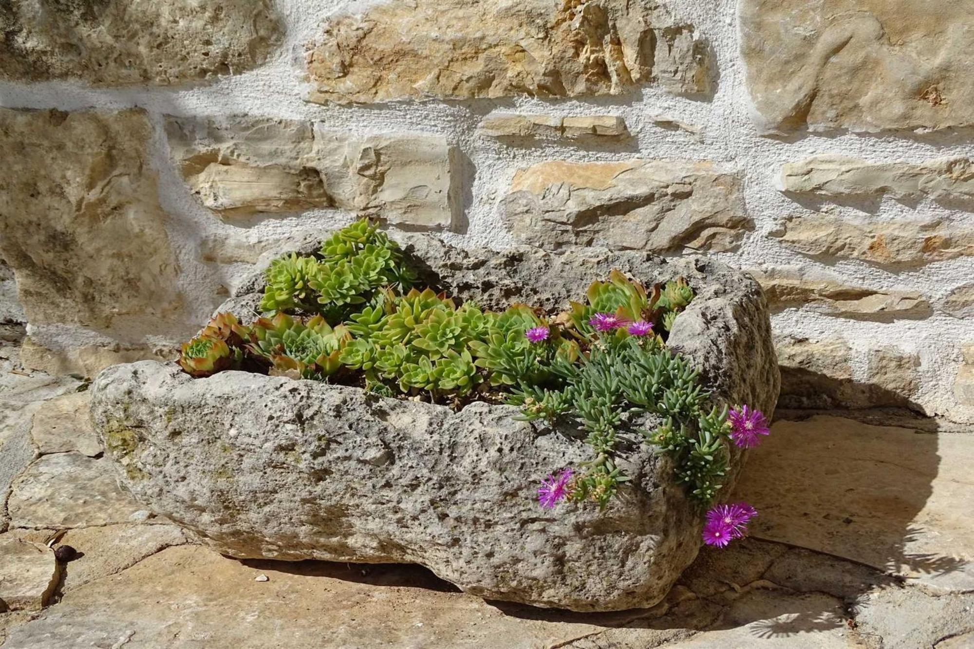 Dalmatian Country House Irena Bruska Εξωτερικό φωτογραφία