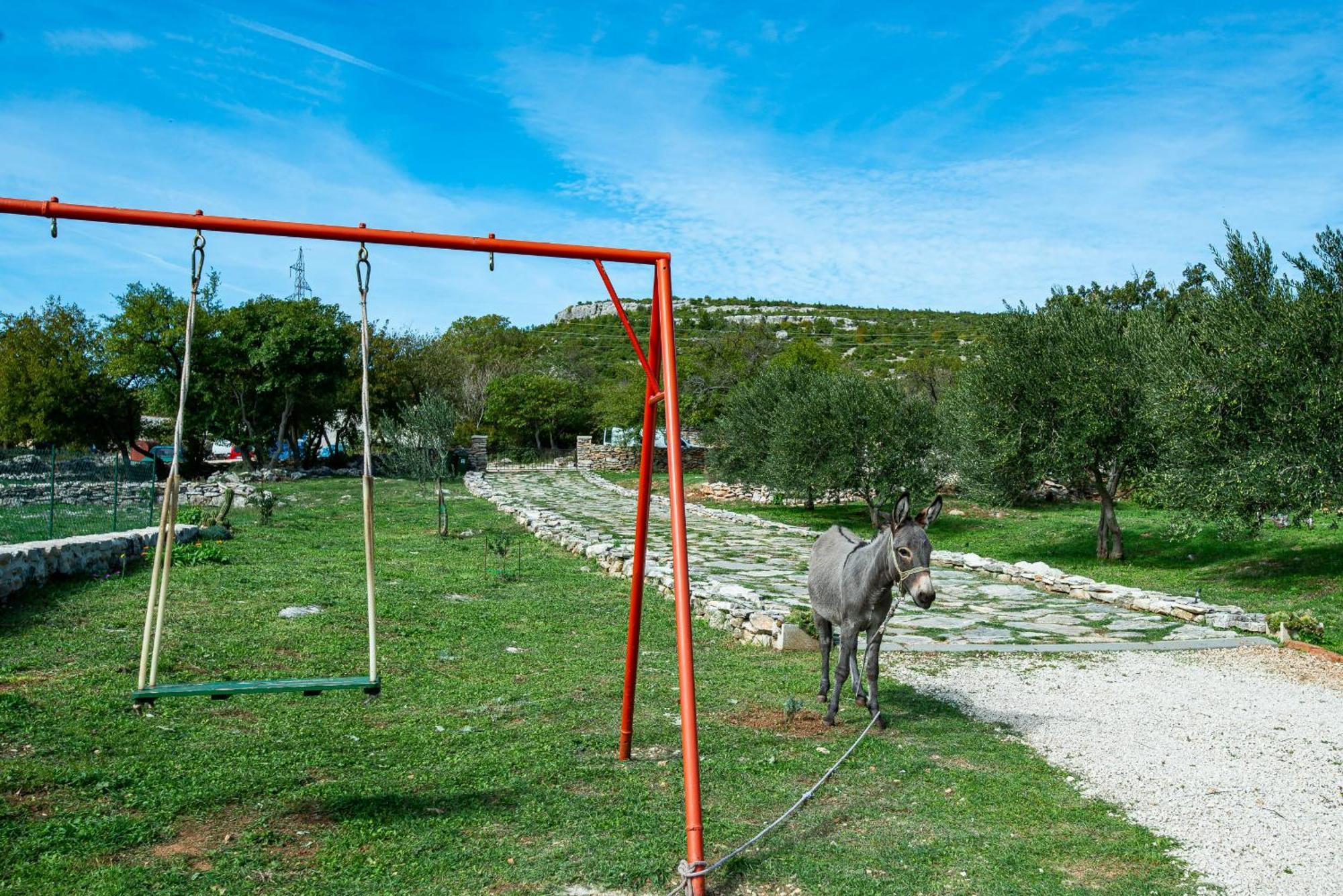 Dalmatian Country House Irena Bruska Εξωτερικό φωτογραφία