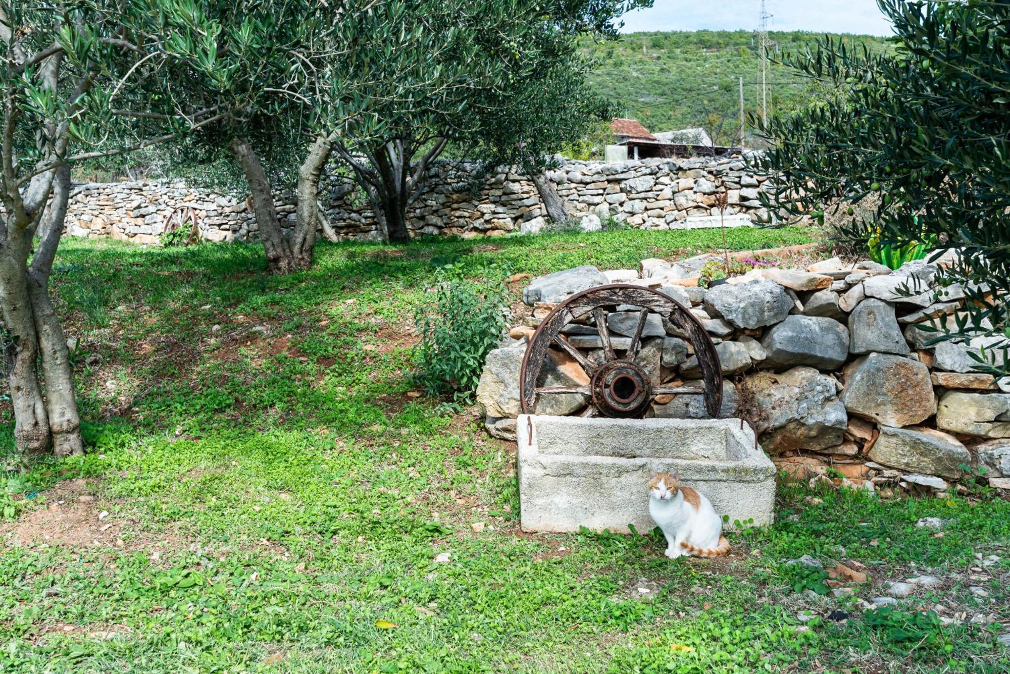 Dalmatian Country House Irena Bruska Εξωτερικό φωτογραφία